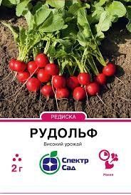 Редиска "Рудольф" 2г. (Голандія) Спектр-Сад 4820270300282 фото