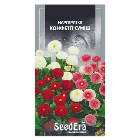 🌼 Маргаритка