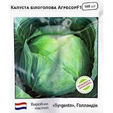 Капуста "Агрессор" F1 білоголова  100 шт. (Голандія) 7700000019318 фото
