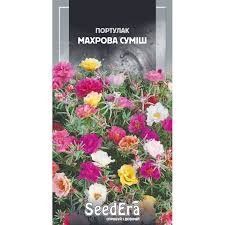 🌺 Портулак