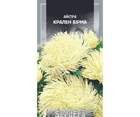 🌼 Айстра