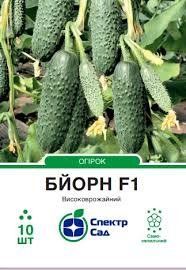 Огірок "Бйорн" F1 партенокарпічний 10 шт. Спектр-Агро 4820270302163 фото
