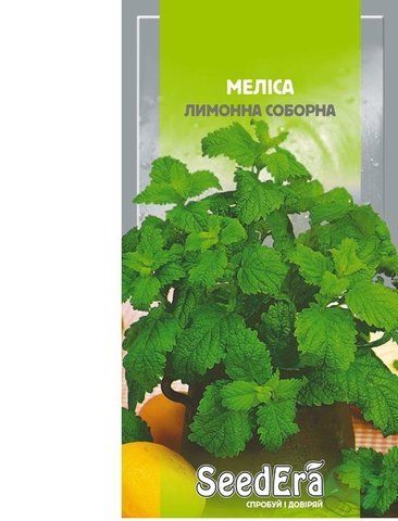 🌿 Меліса