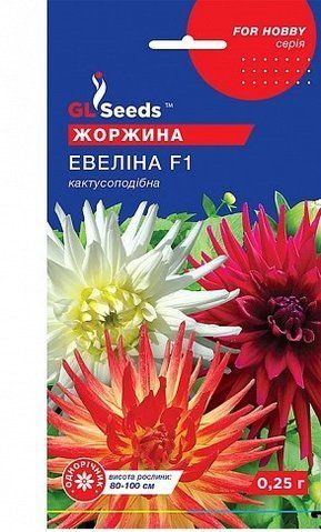 Квіти "Жоржина" Евеліна 0.25г. GL Seeds 4823096908199 фото