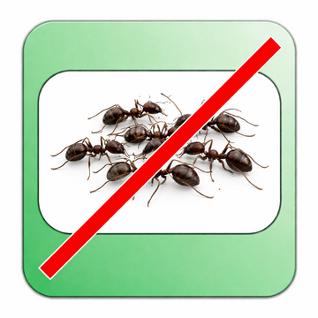 🐜 Засоби проти мурах