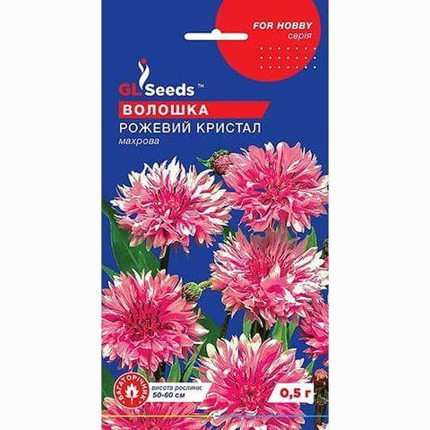 🌾 Волошка