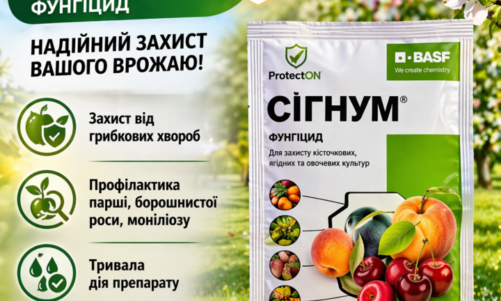 Перший Обробіток