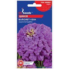 Квіти "Цинія" Вайолет Квін 0.5г. GL Seeds 4823096919232 фото
