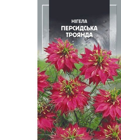 💙 Нігела