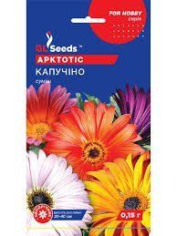 🌻 Арктотіс