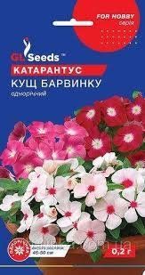 🌸 Катарантус