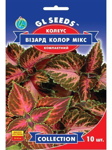 🌱 Колеус