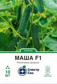 Огірок "Маша" F1 самозапильний 10 шт. Спектр-Агро 4820270300657 фото