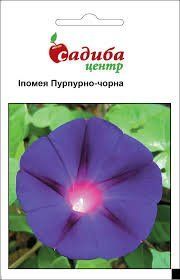 Квіти "Іпомея" Пурпурно-чорна 0,5г. Садиба 4820146724051 фото