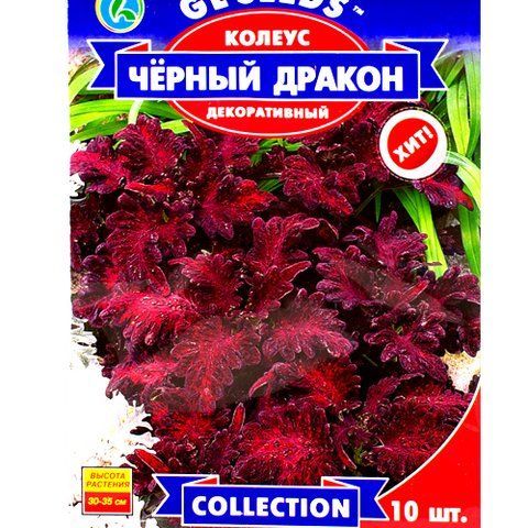 Квіти "Колеус" Чорний  Дракон 10 шт. GL Seeds 4823096912448 фото