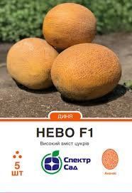 Диня "Нево"  F1 типу ананас 5 шт. Спектр-Агро 4820270301258 фото
