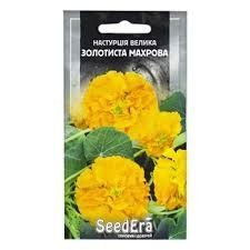 Квіти "Настурція" Золотиста Махрова 1.5г.  SeedEra 4823073722343 фото