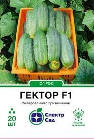 Огірок "Гектор" F1 комахозапильний 20 шт. Спектр-Агро 4820270300879 фото