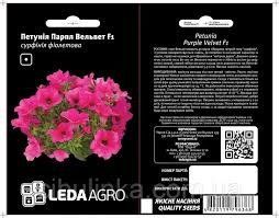 Квіти "Сурфінія Вельвет" F1 сумі 5 шт. LedaAgro  4820119794456 фото