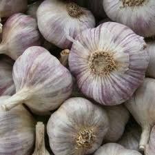 Часник 1 репродукція Любаш  7700000016942 фото