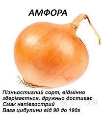 Цибуля "Амфора" саджанка (цибулини) 7700000018175 фото